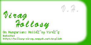 virag hollosy business card